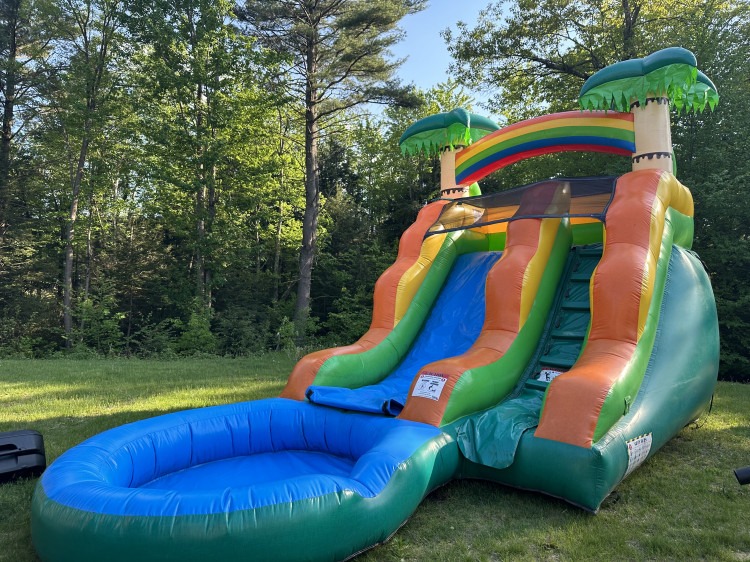 13 Foot wet or dry  Palm Tree Slide