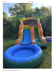 water20slide 1717453905 13 Foot wet or dry Palm Tree Slide